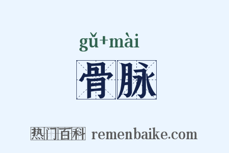 骨脉是什么意思的图片